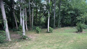 Een gazon met bomen en een hek.