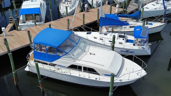 A marina with several boats docked, featuring open decks and blue canopies.