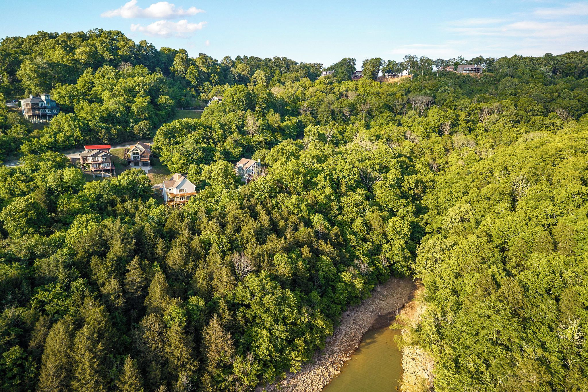 Une zone boisée avec plusieurs maisons, une rivière et un ciel dégagé.