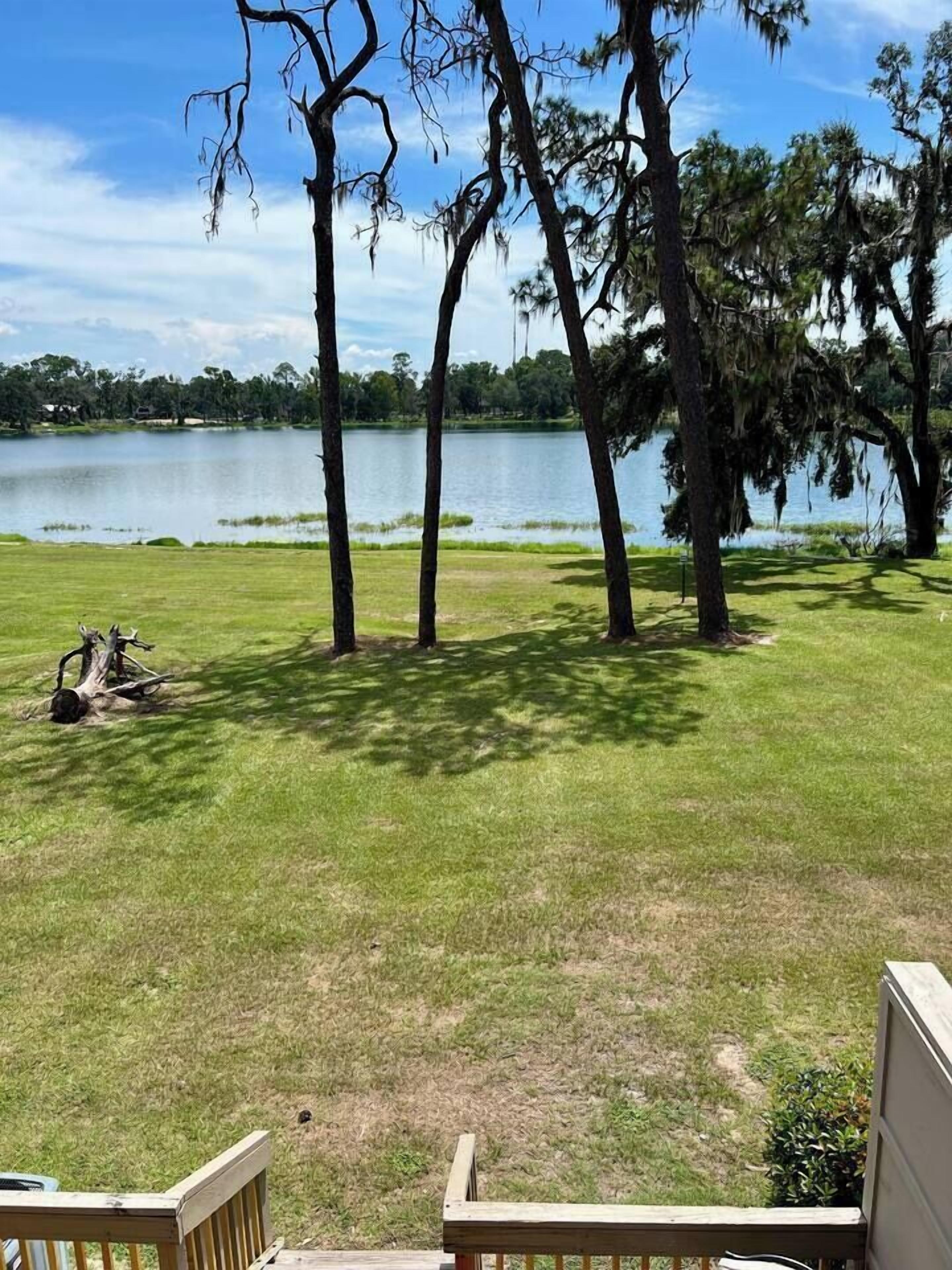 A grassy area with trees and a body of water in the background.