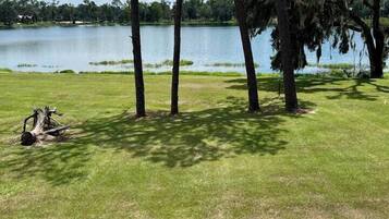 A grassy area with trees and a body of water in the background.