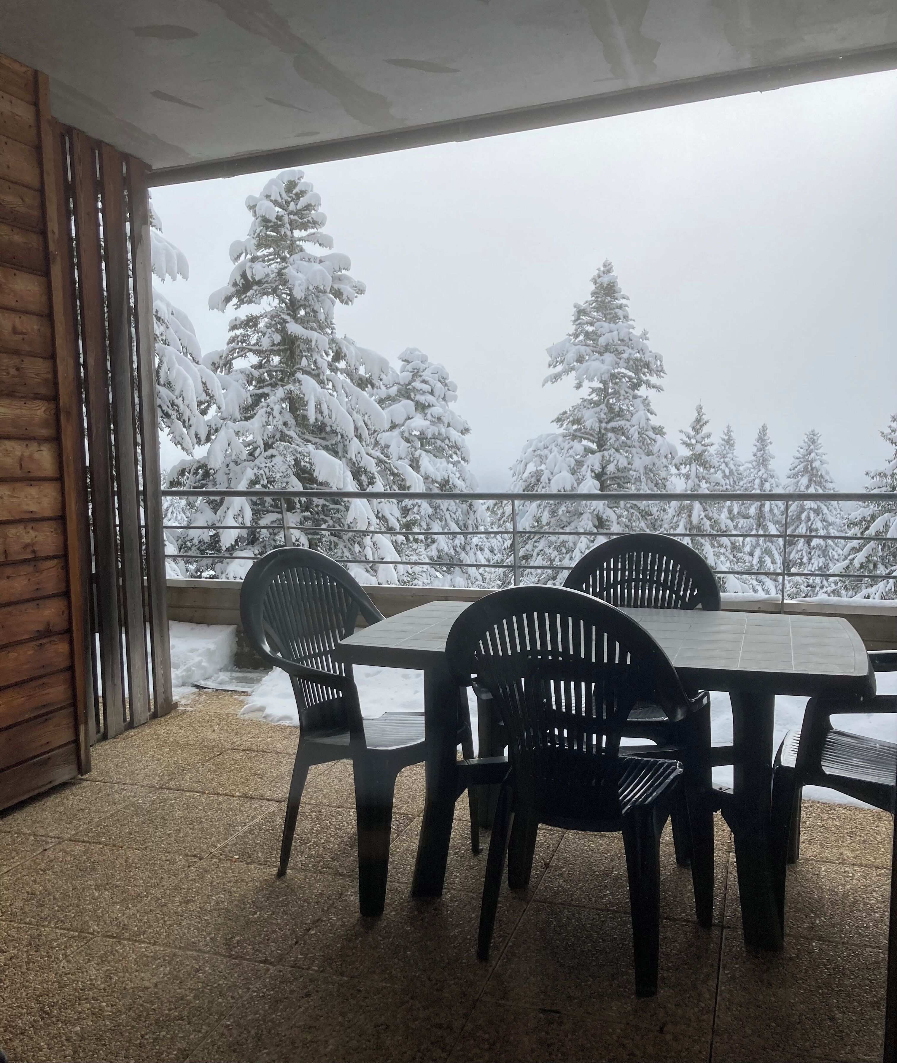 Ein überdachter Außenbereich mit Tisch und Stühlen, mit Blick auf eine verschneite Landschaft mit Bäumen.
