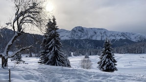 A snowy landscape with trees and mountains in the background. - Apartment for 6 people at the base of the slopes: L'Ecrin des Neiges (Chamrousse)
