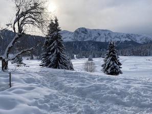 A snowy landscape with trees and mountains in the background. - Apartment for 6 people at the base of the slopes: L'Ecrin des Neiges (Chamrousse)