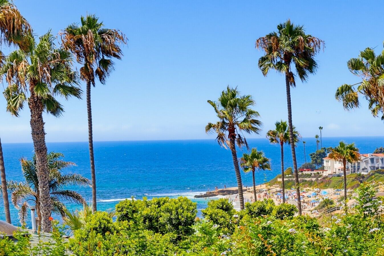 A coastal view with palm trees, a beach, and a building with multiple floors.