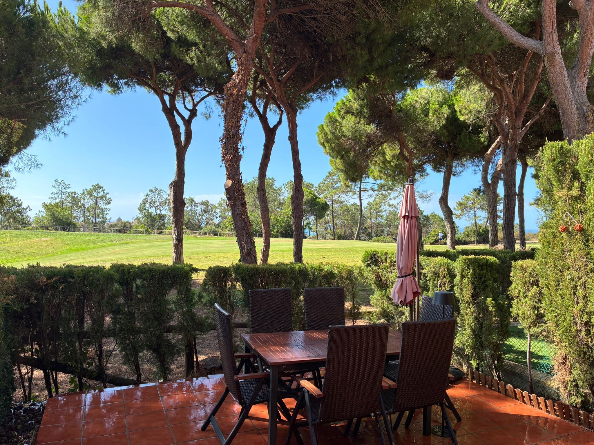 An outdoor patio with a table and chairs, surrounded by trees and a view of a green field.