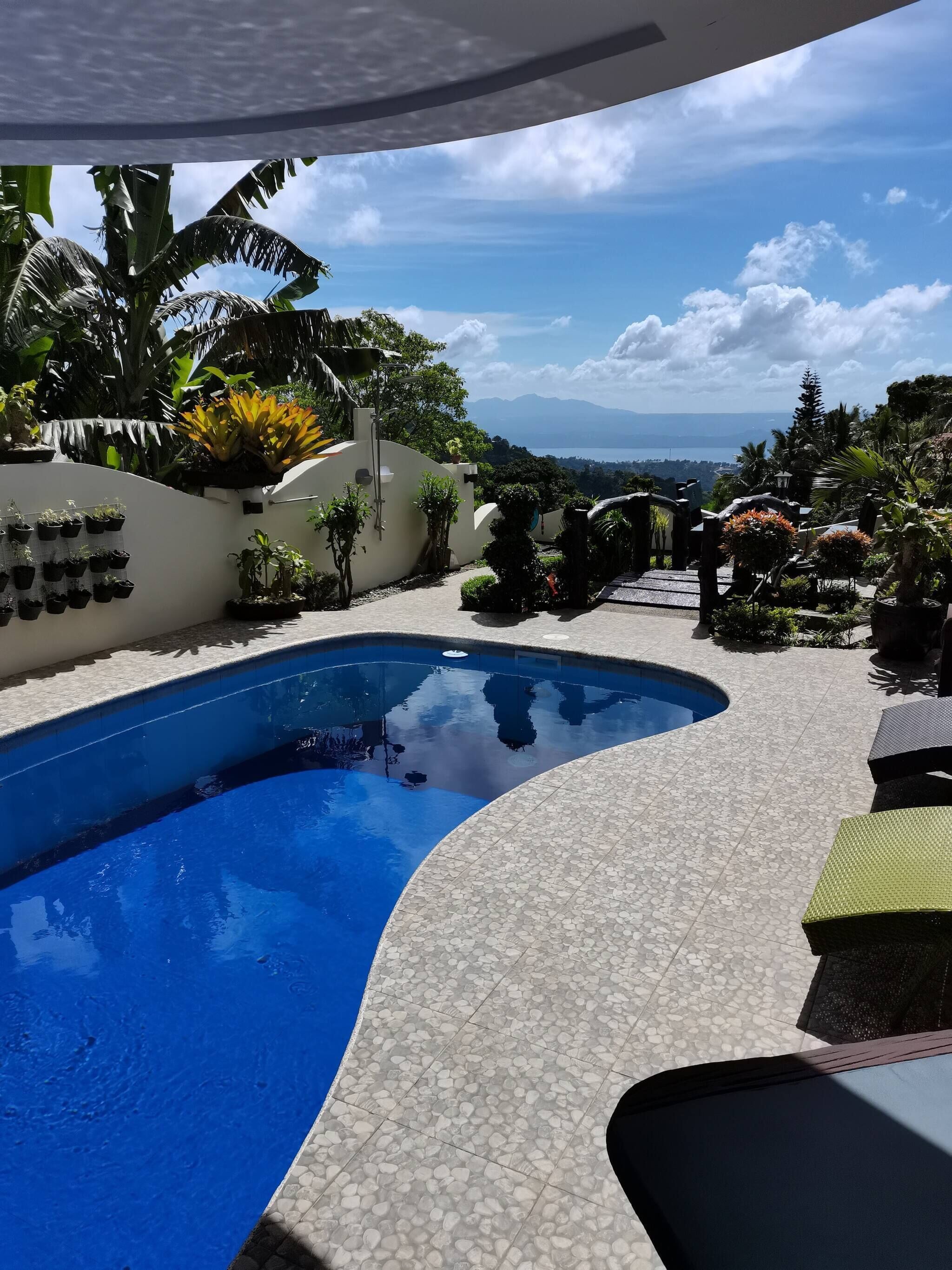 A swimming pool with a curved edge, surrounded by a tiled deck and various plants.