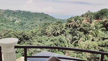 A balcony with solar panels, a white column, and a view of a lush green landscape with palm trees.