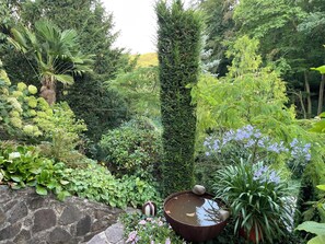 Een tuin met diverse planten, een stenen muur en een waterpartij.