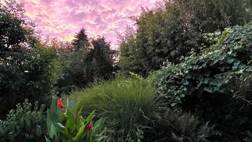 Ein Garten mit dichtem Grün und vielfältigen Pflanzen.