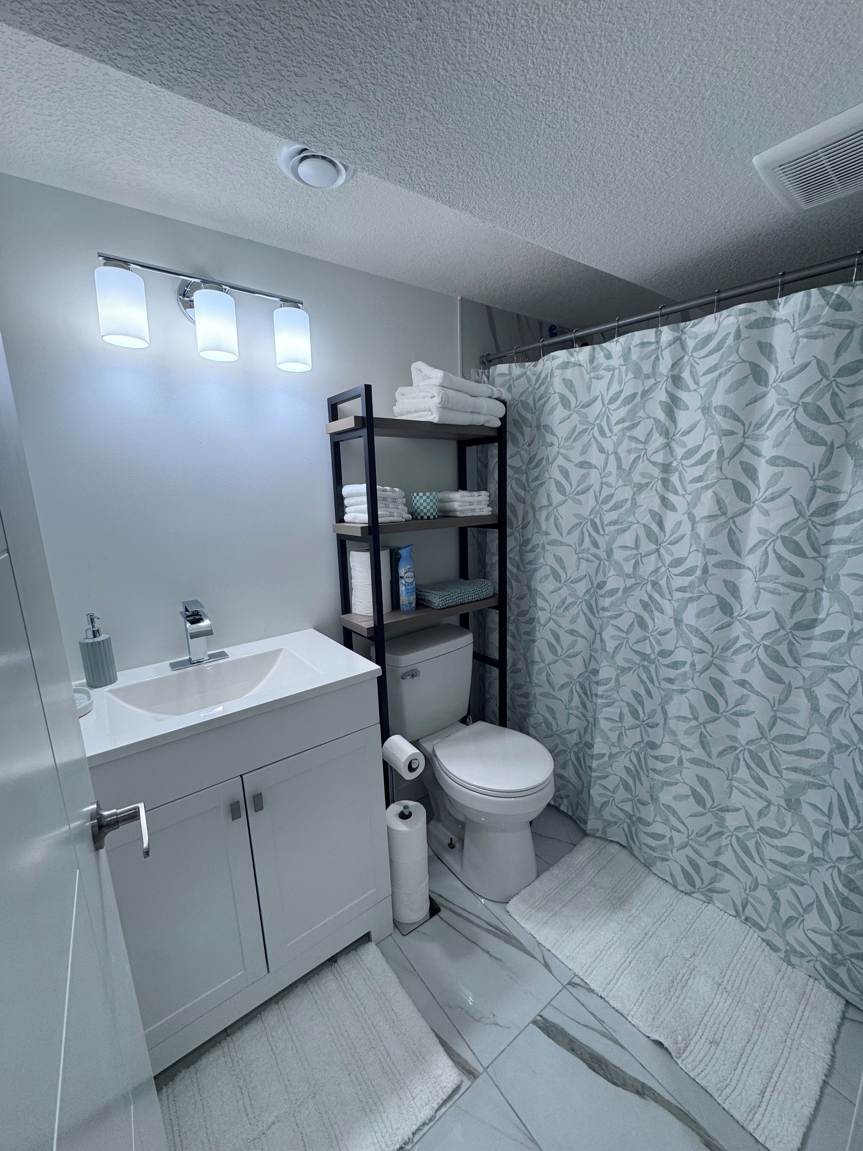 Hair dryer, towels, soap, toilet paper