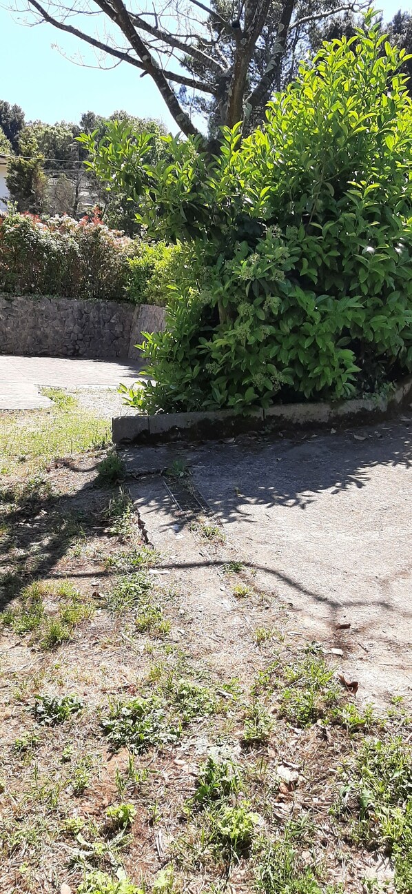 Property grounds - Vrbo Property (itri)
