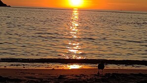 Ein Sonnenuntergang über ruhiger See, im Vordergrund die Silhouette einer Person am Ufer.