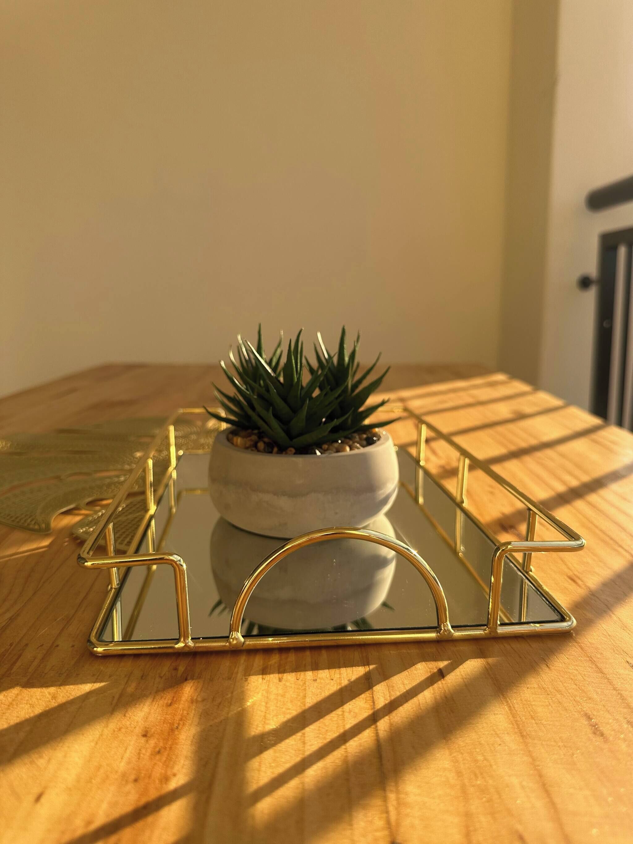 A potted succulent on a glass table with a gold frame, positioned on a wooden surface with sunlight casting shadows.