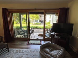 Ein Wohnzimmer mit Schiebetür zu einer Terrasse, einem Fernseher, einem Hundebett und einem Teppich.