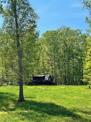 A cabin in a forest with a clear sky. - Bison Farm - Cabin "Brisa" (Culpeper)
