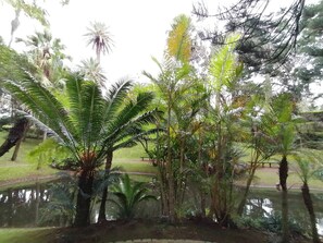 A garden with various trees and a pond. - Cozy Premium I - Spacious, comfortable, welcoming (Ponta Delgada)