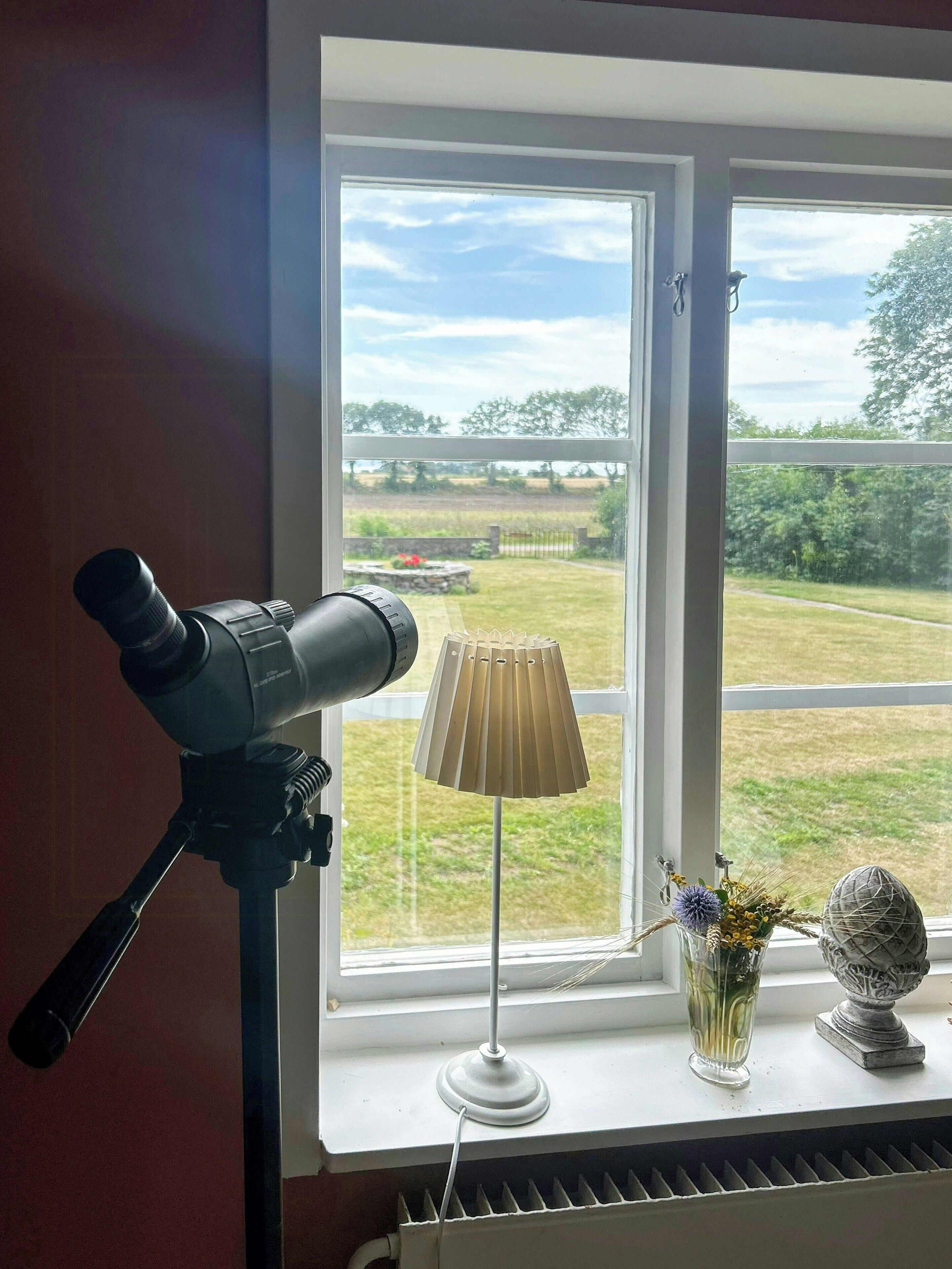 A room with a telescope on a tripod, a lamp, and a window with a view of a grassy field.