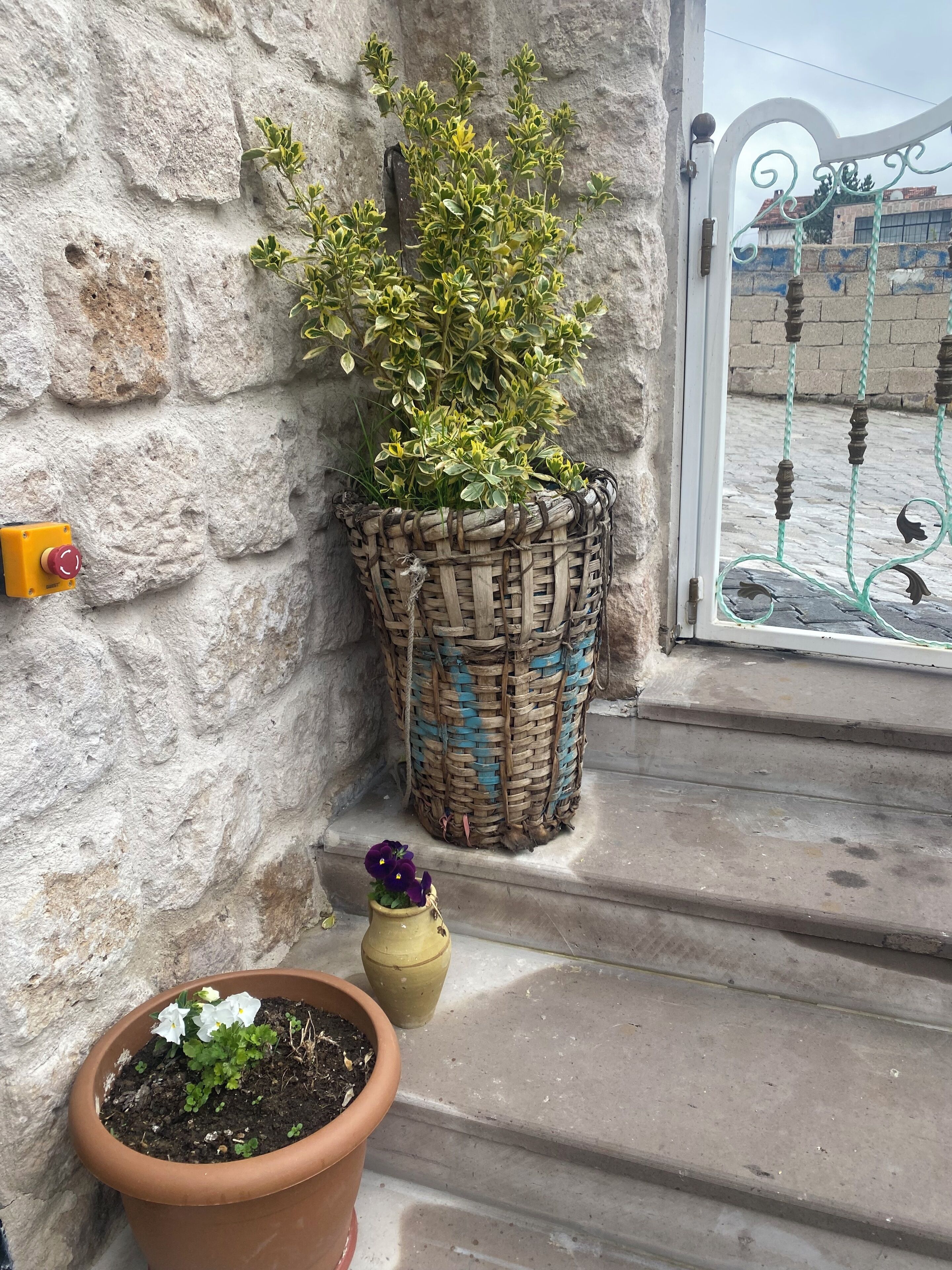 A stone wall with a woven basket planter, a potted plant with white flowers, and a yellow fire alarm.