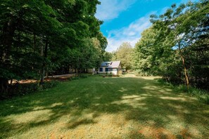 A house surrounded by dense trees with a clear sky.