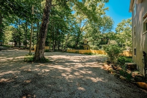 Peaceful open yard area surrounded by tall, beautiful trees! 🌳🌿✨