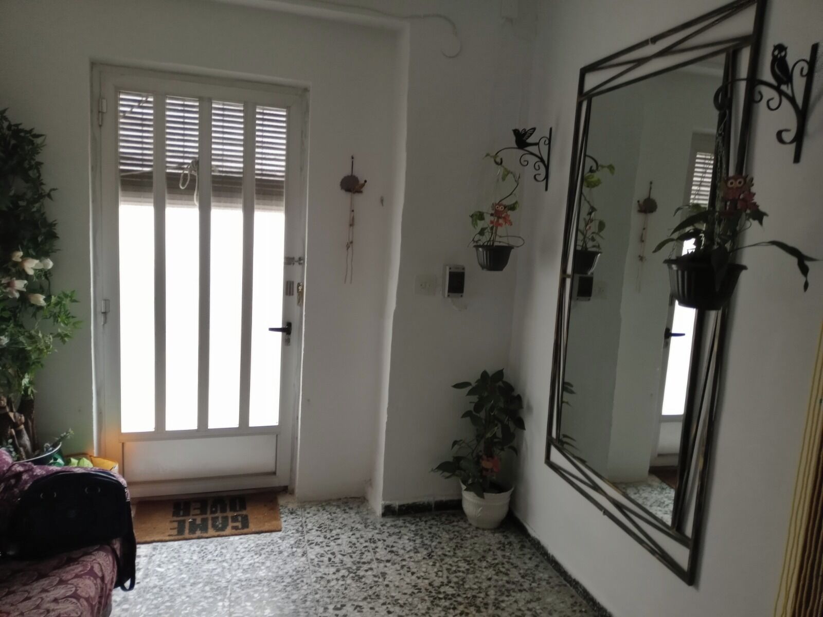 A room with a door, a large mirror, and potted plants.