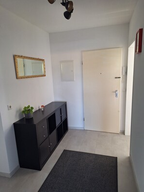 A room with a black cabinet, a mirror, a door, and a small plant.