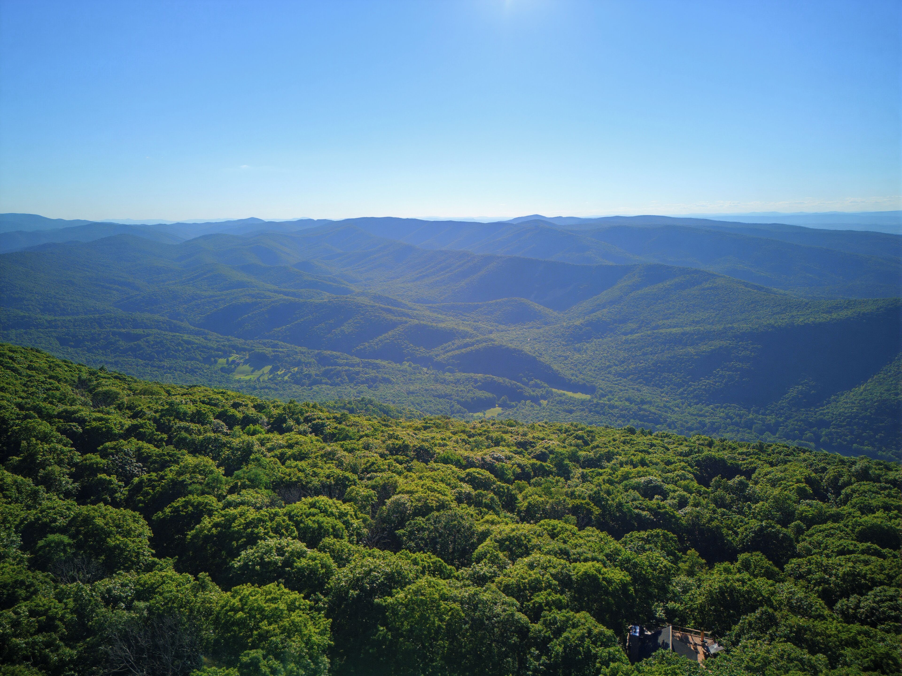 A mountainous landscape with dense forestation and a clear sky.