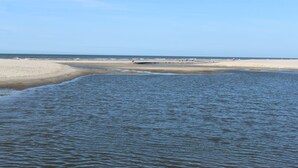 Ein Strand mit sandigem Ufer und ruhigem Wasser.