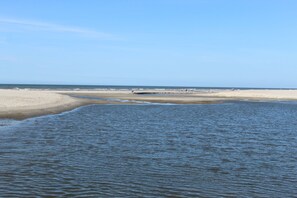 A beach with a sandy shore and calm water. - One Bedroom Beach Oasis in Ocean Creek Resort (Myrtle Beach)