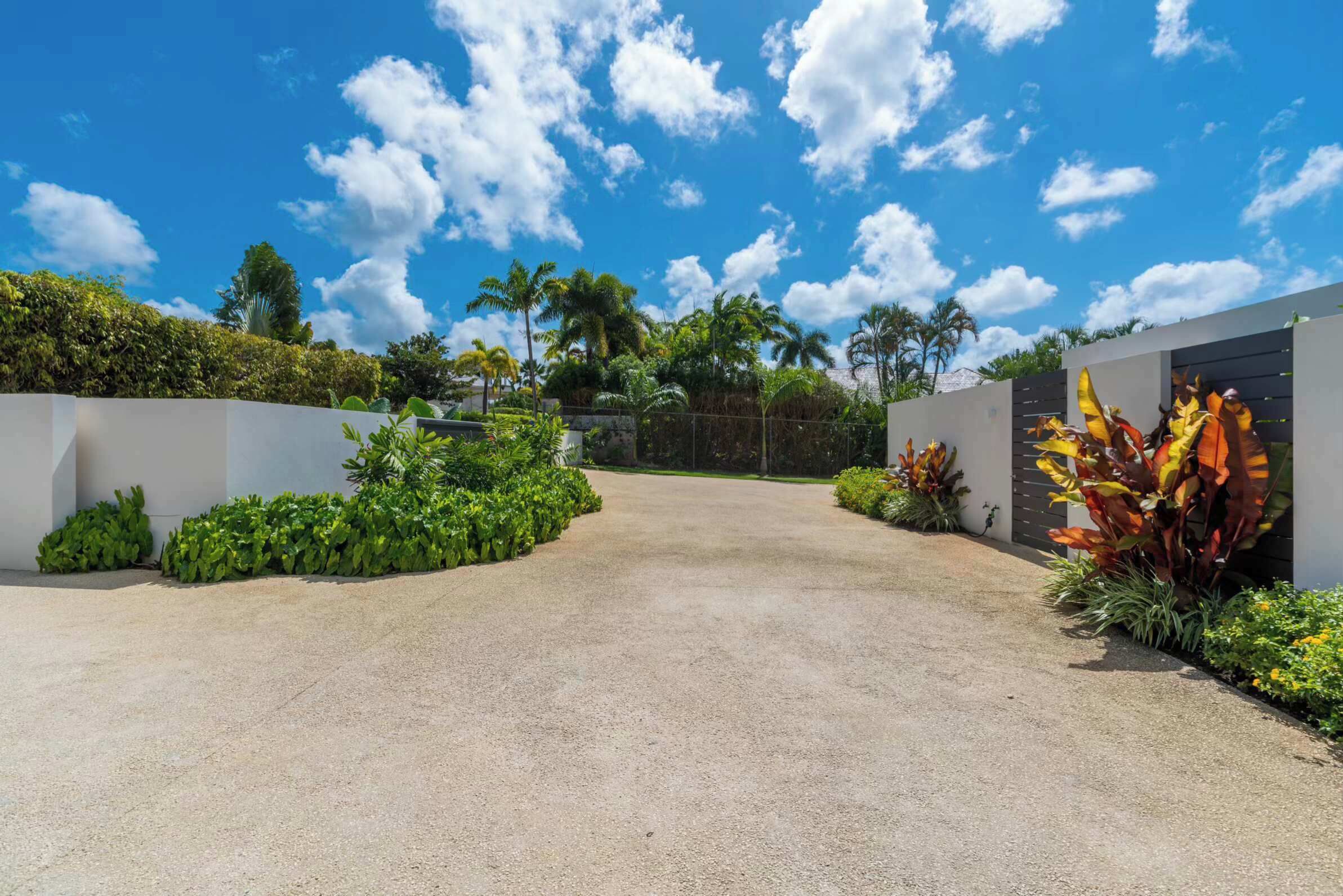 Ein gepflasterter Weg führt zu einem modernen Gebäude mit weißer Fassade und einem angelegten Garten mit tropischen Pflanzen.