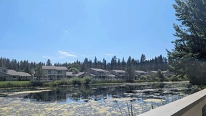A residential area with houses and a body of water with lily pads. - Paw's For Awhile - 55 Ponderosa (Plumas Eureka)