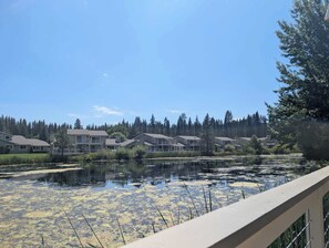 A residential area with houses and a body of water with lily pads. - Paw's For Awhile - 55 Ponderosa (Plumas Eureka)