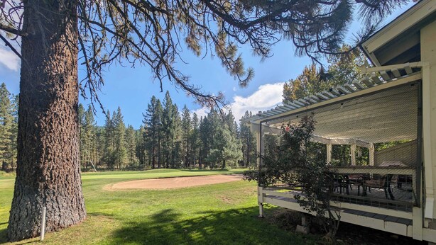 A golf course with a pavilion and a large tree. - Pondy - 101 Ponderosa (Plumas Eureka)