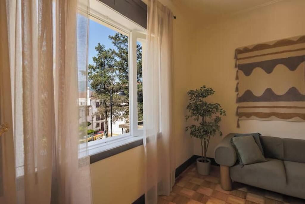 Una habitación con ventana, una planta en maceta y un sofá.