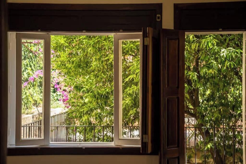 A window with a view of lush greenery and a balcony railing.
