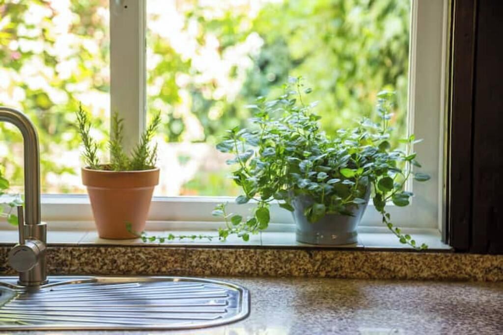A kitchen with a granite countertop, a stainless steel faucet, and two potted plants on the windowsill.