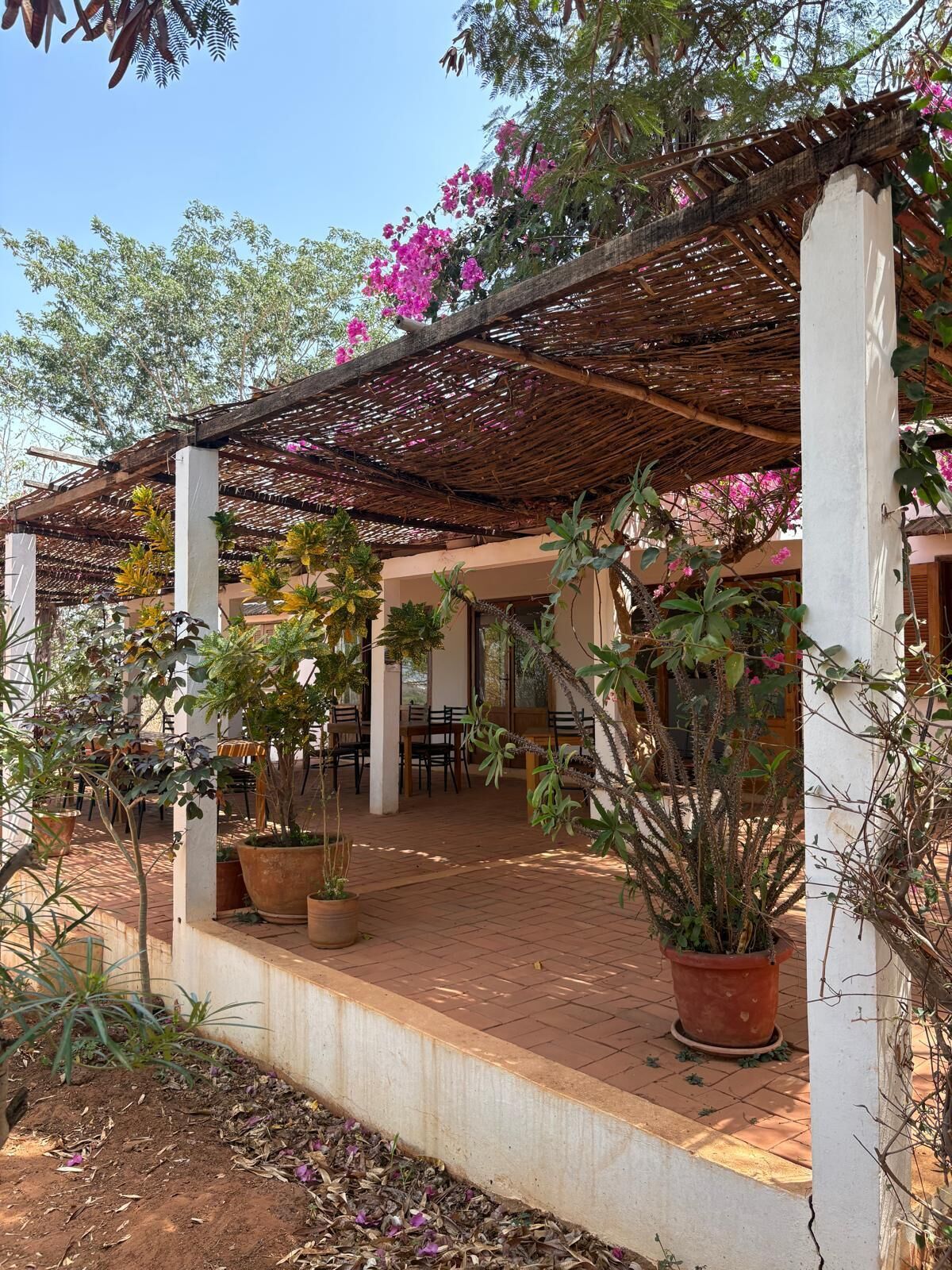 Terraza o patio