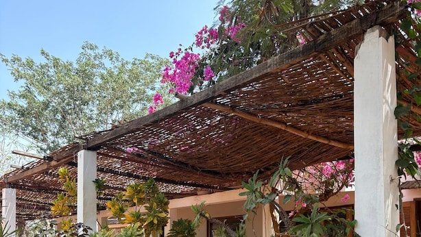 Ein Außenbereich mit Terrasse, einer Pergola, Blumentöpfen und einer Sitzecke.