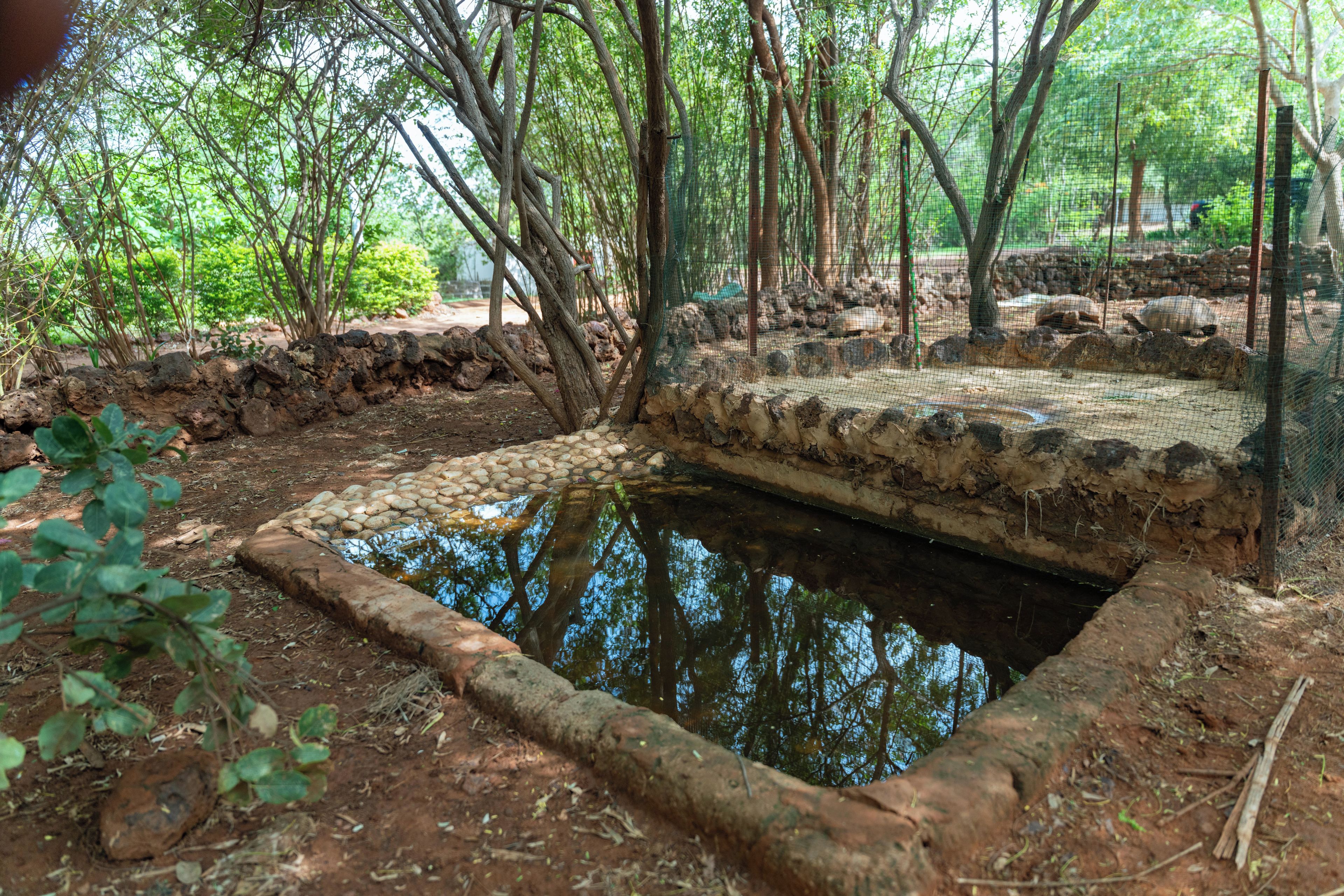 A naturalistic enclosure with a water feature, surrounded by trees and a stone wall.