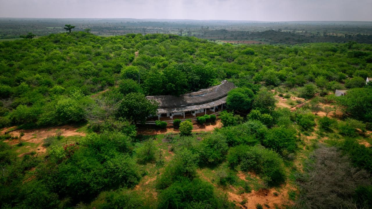 An ancient amphitheater surrounded by dense greenery.