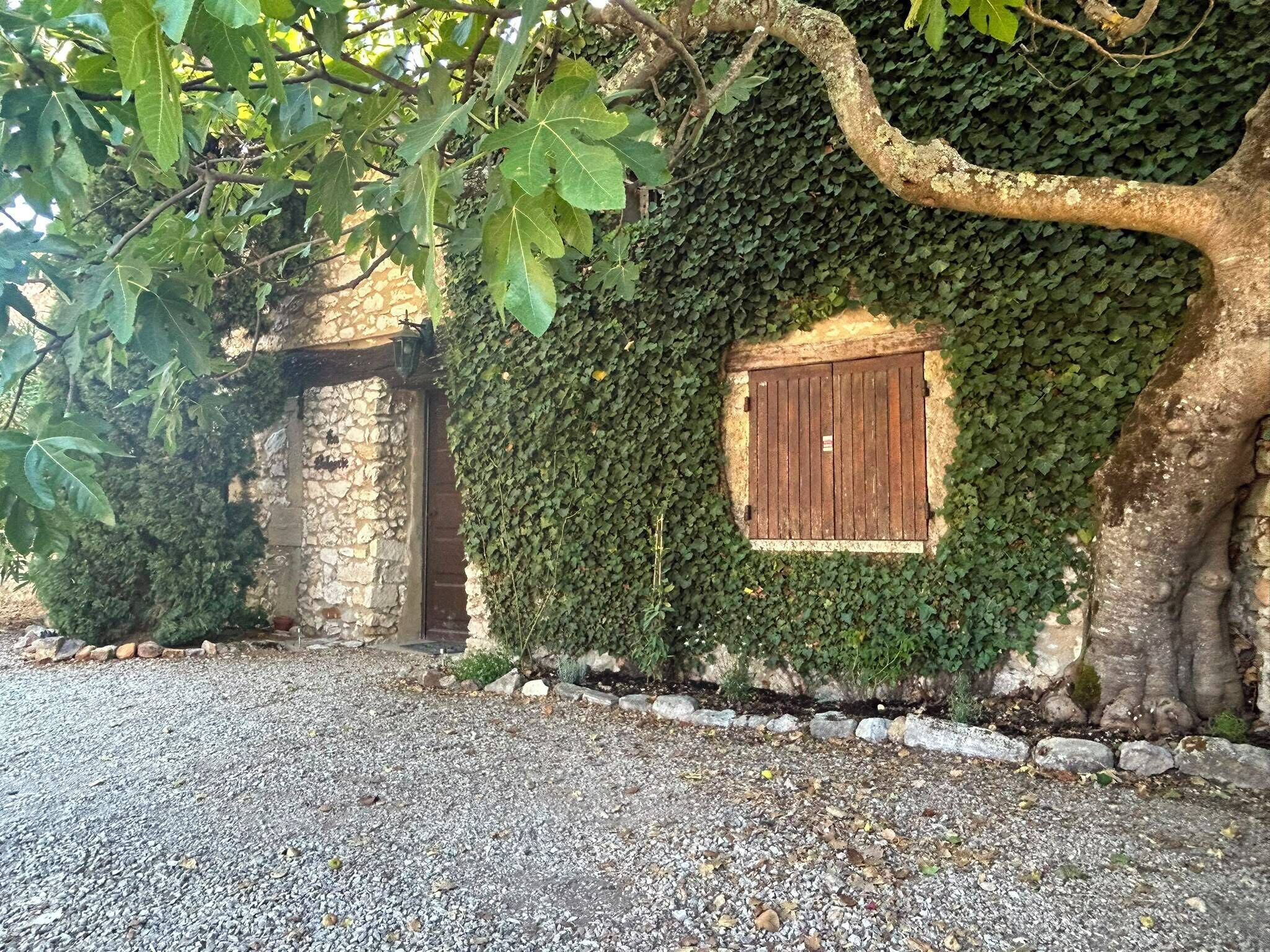 A stone wall partially covered with ivy, a wooden door, and a gravel path.