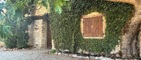 A stone wall partially covered with ivy, a wooden door, and a gravel path.