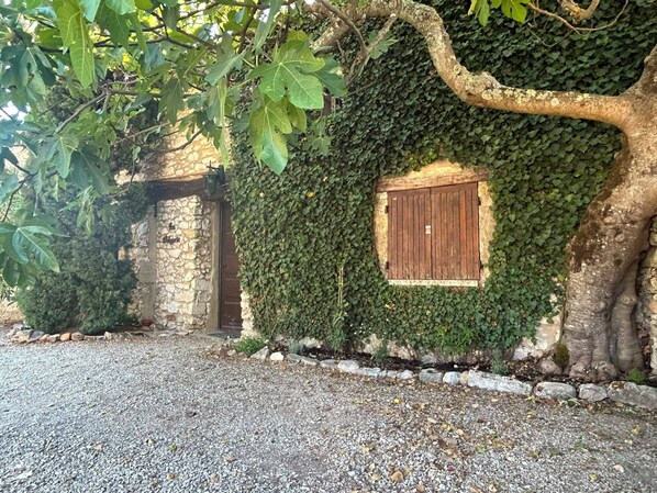 Un muro di pietra parzialmente ricoperto d'edera, una porta in legno e un vialetto sterrato.
