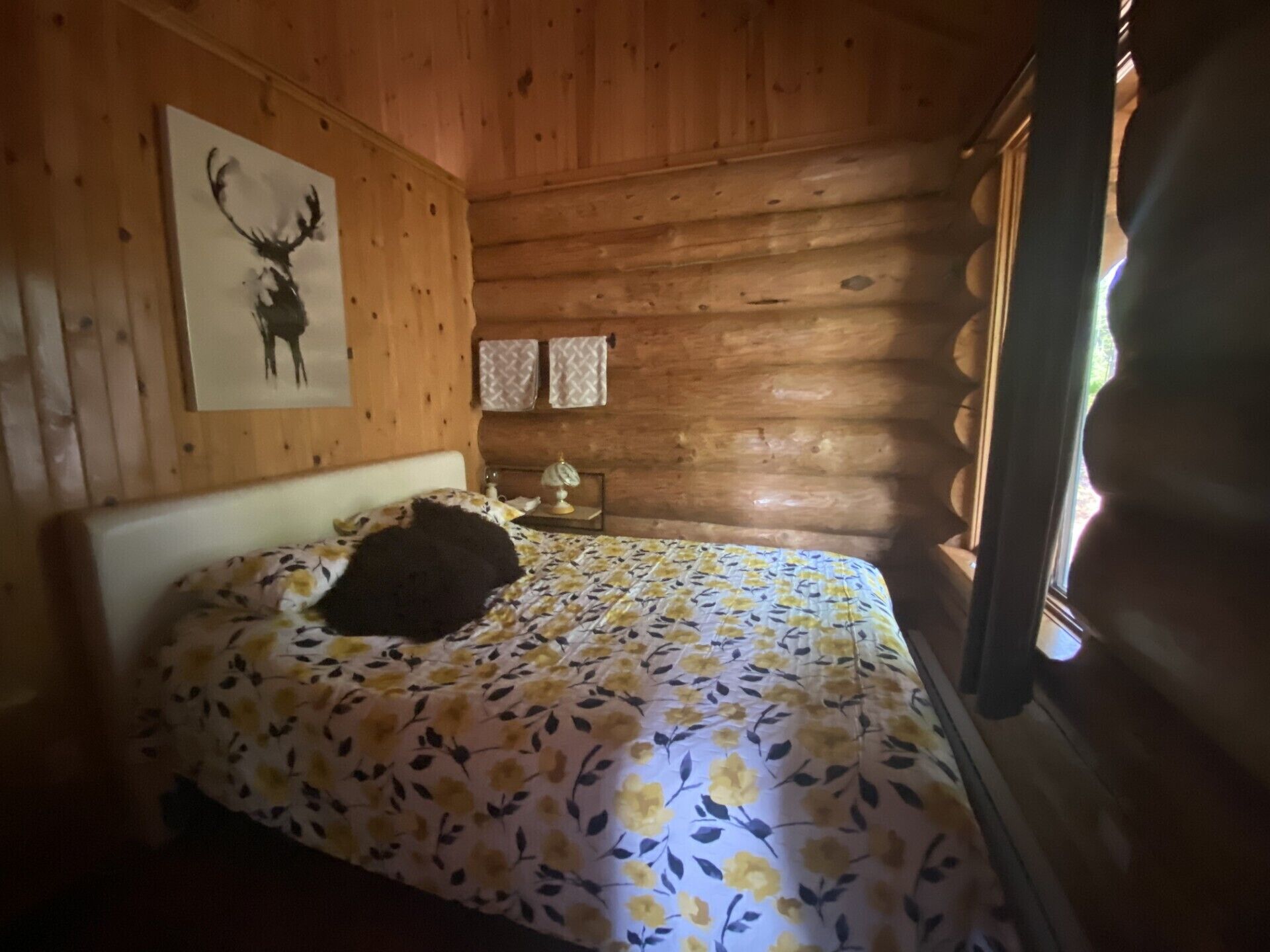 A wooden cabin room with a bed, a wall-mounted picture, and a window.