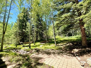 Une zone boisée avec un sentier dallé, des arbres et un hamac.