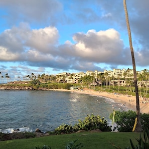 A coastal resort with beachfront properties, a sandy beach, and a clear sky. - Oceanfront Christmas Week Studio with all luxury resort amenities. (Lahaina)