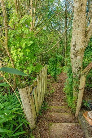 Eine hölzerne Treppe führt durch ein bewaldetes Gebiet mit dichtem Grün und einem Holzzaun an der Seite.