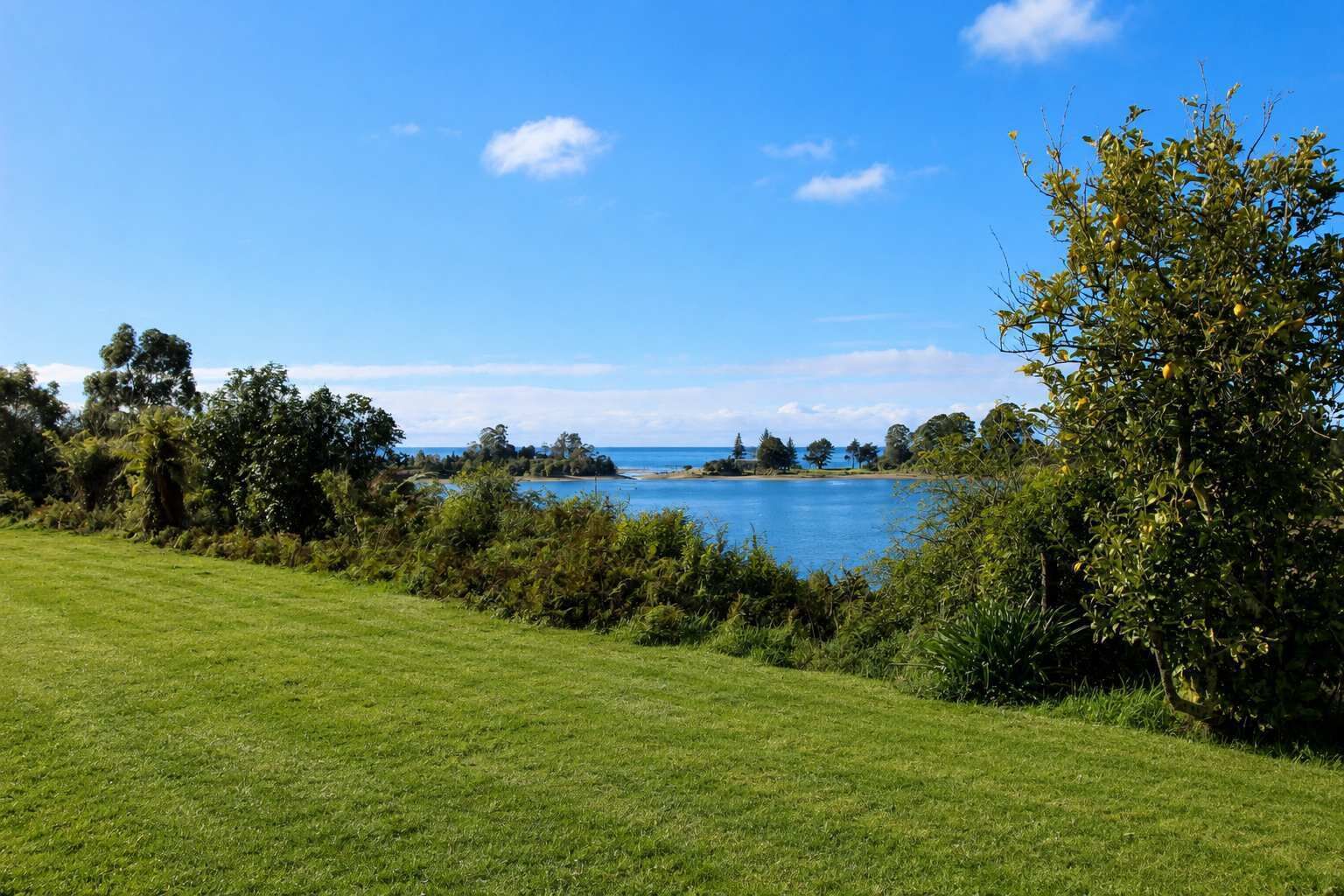 A grassy field with a body of water and trees in the background.