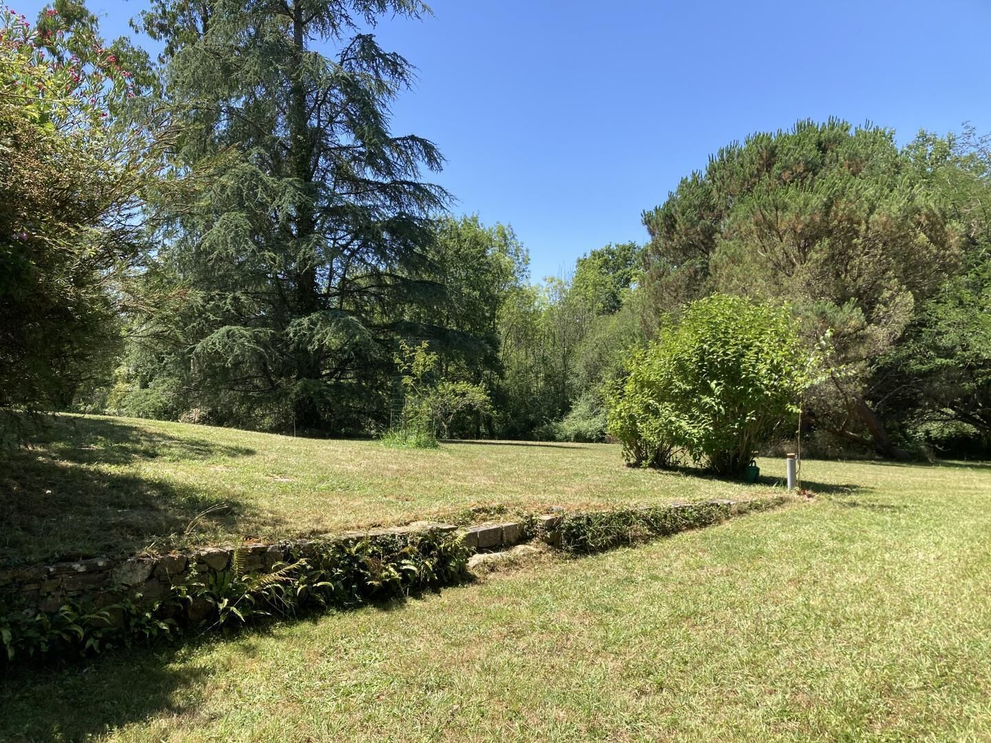 Uma área de parque com grama, árvores e um muro de pedra.